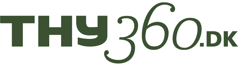 Thy360 logo